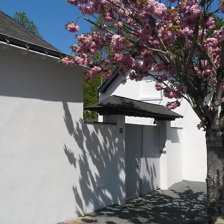 Chambre Et Salon Sur La Loire A Velo 莱蓬德塞 外观 照片